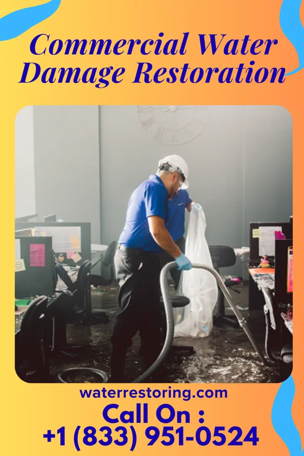 Commercial Water Damage Restoration in Pisinemo, AZ